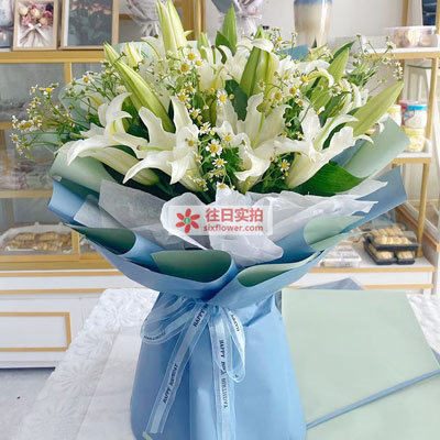 青岛8支白色多头百合洋甘菊，互倾的思念