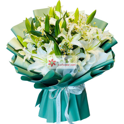 青岛8支白色多头百合洋甘菊，如潮的思念